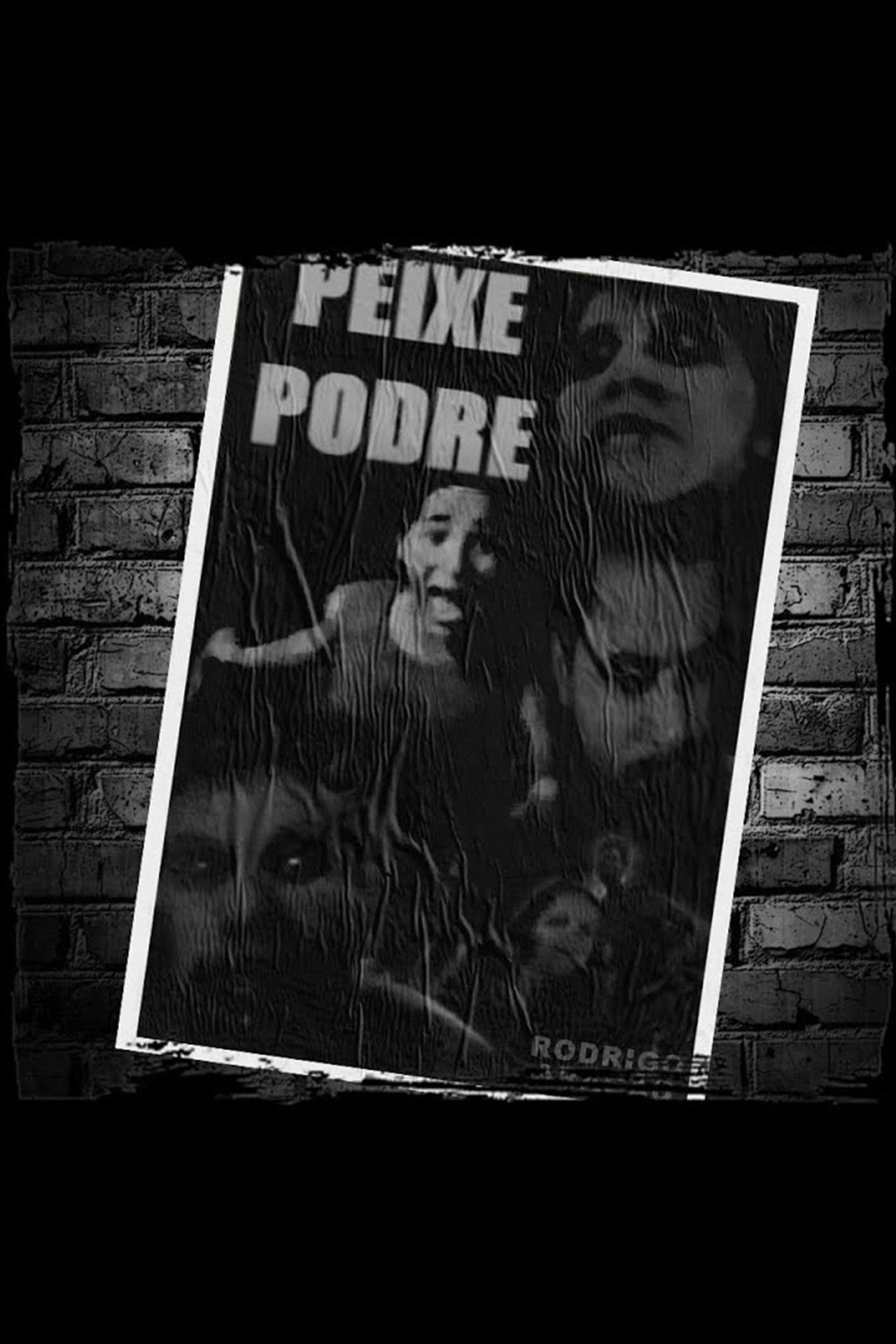 Peixe Podre Backdrop