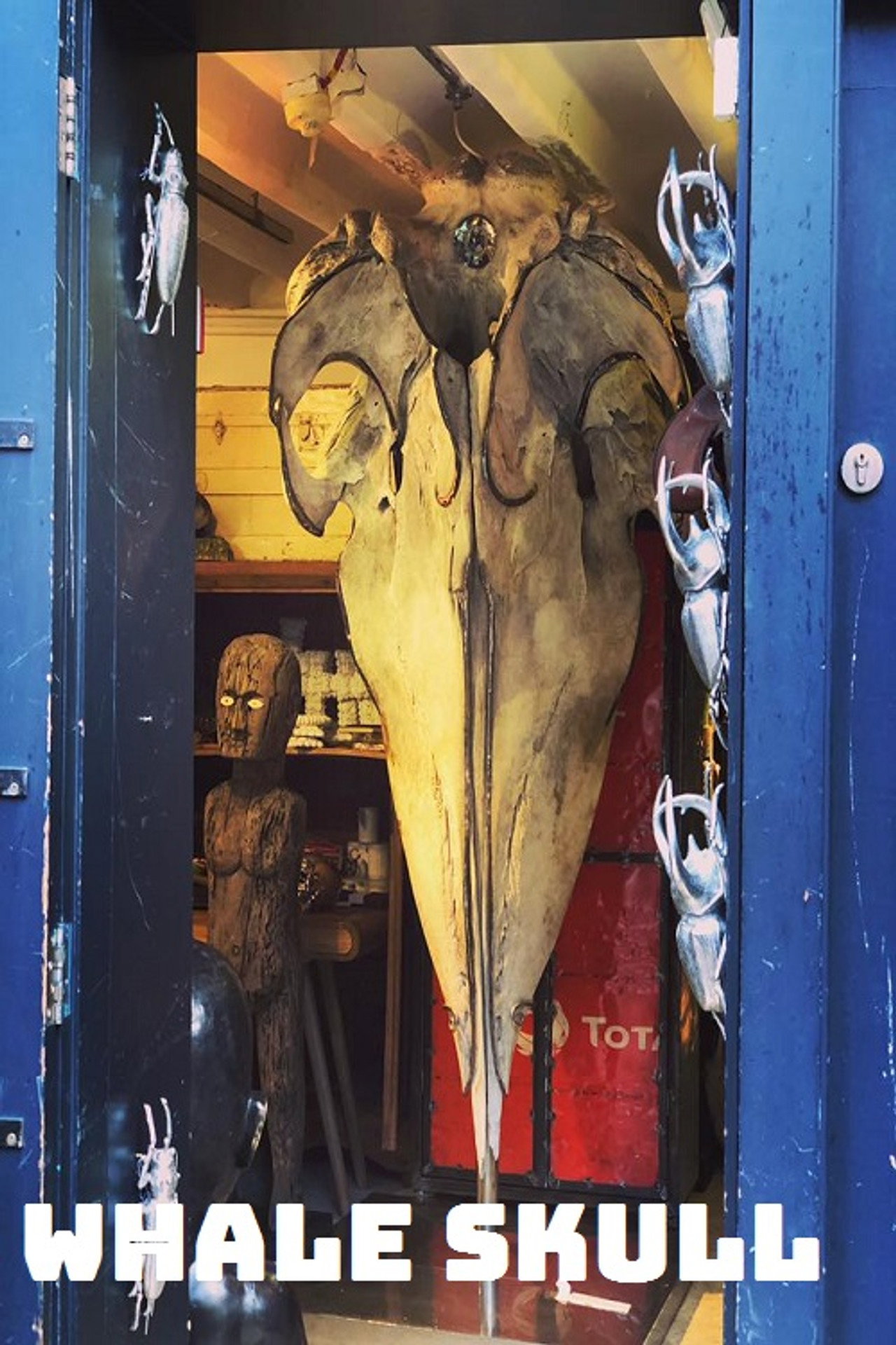 Whale Skull filmaffisch