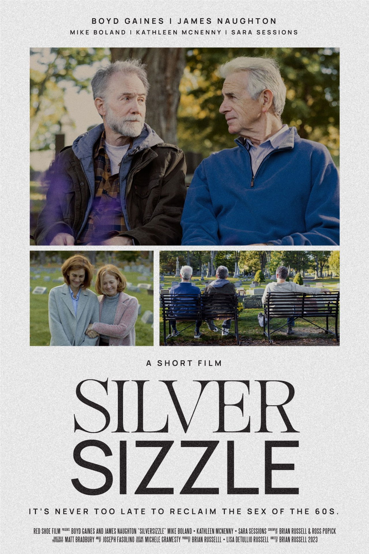 SilverSizzle Backdrop