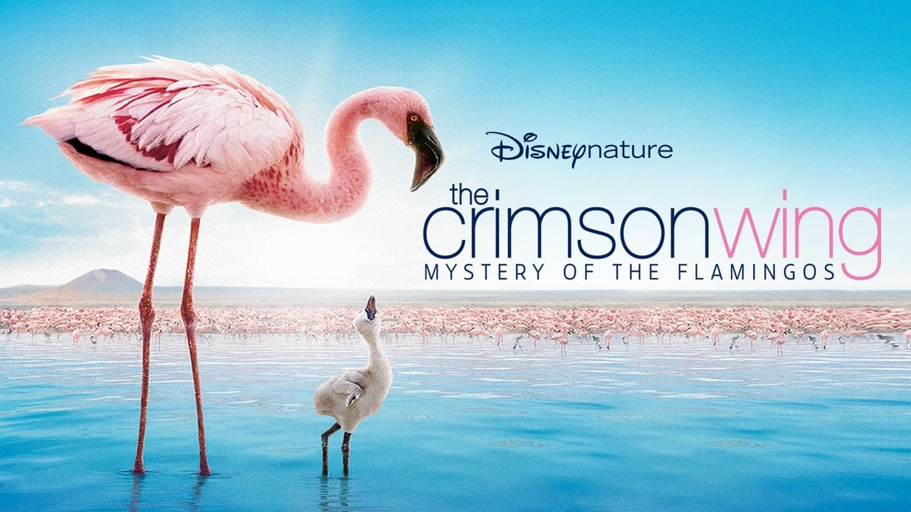The Crimson Wing: Mystery of the Flamingos background