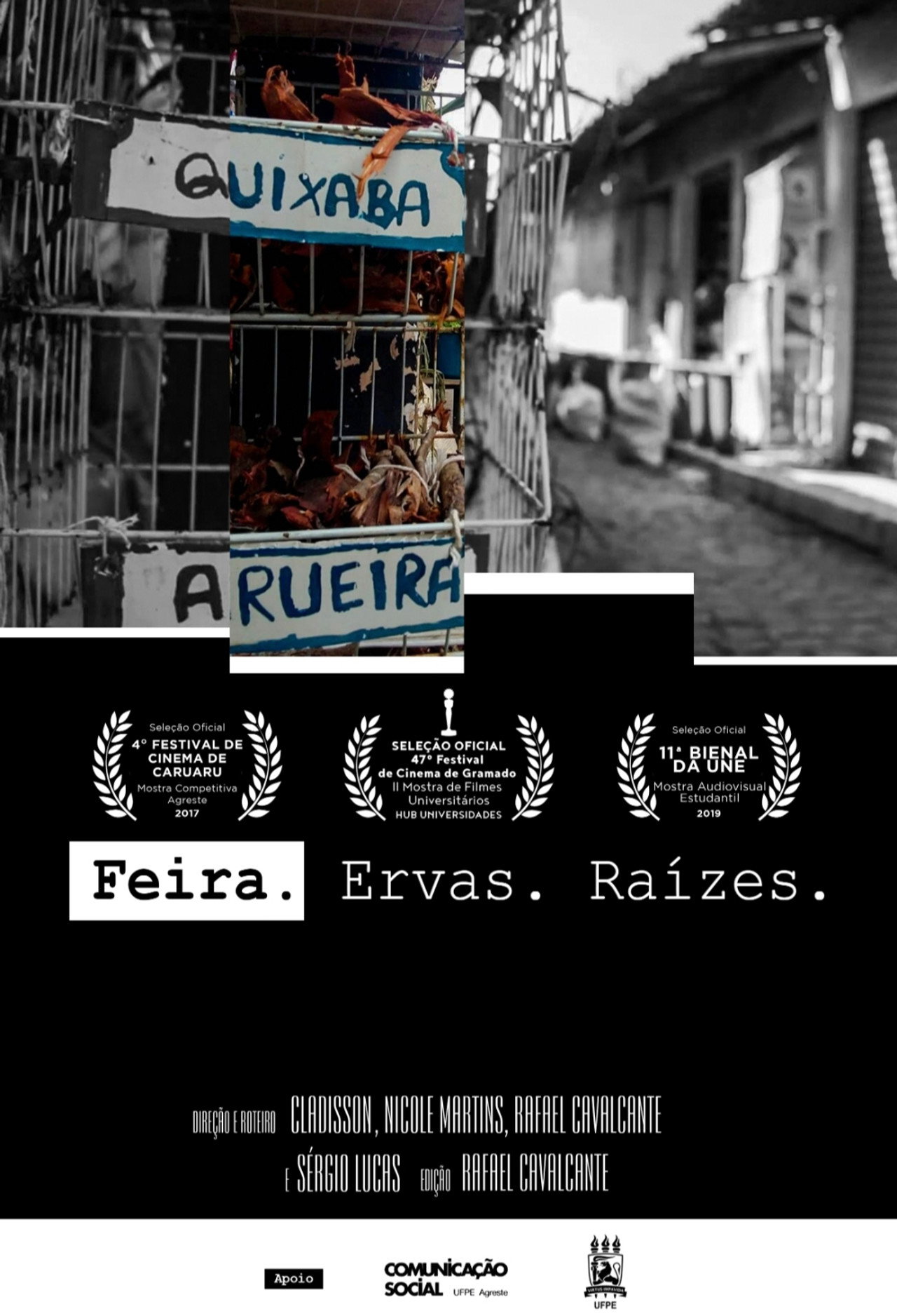Feira. Ervas. Raízes. Backdrop