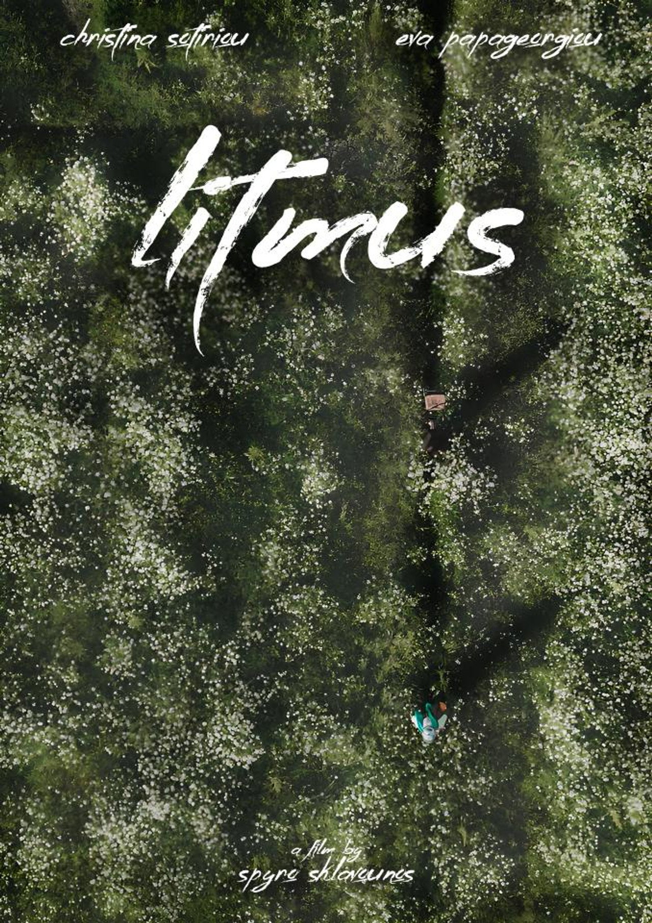 Litmus