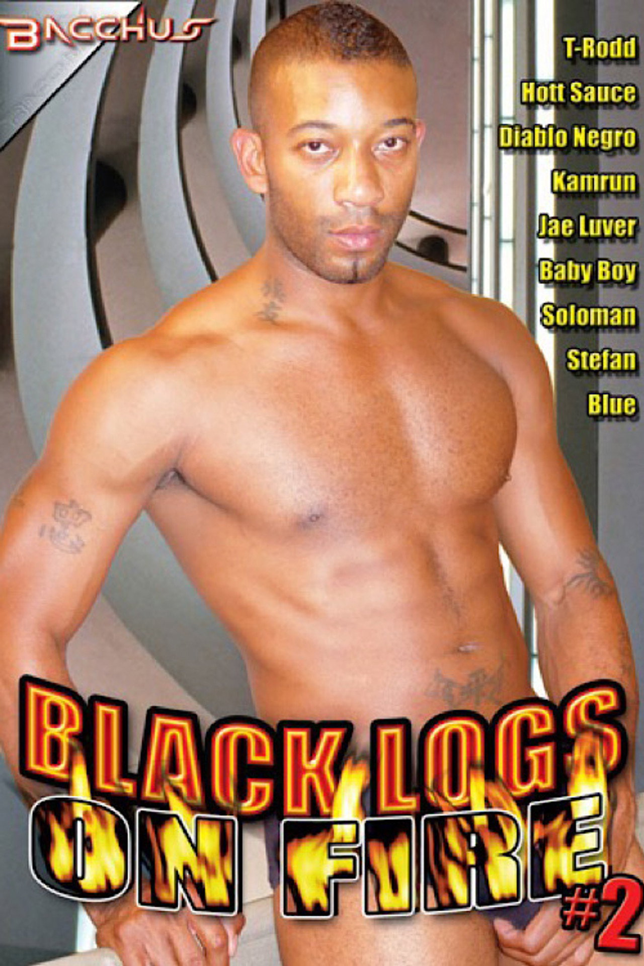 Black Logs on Fire 2 filmaffisch