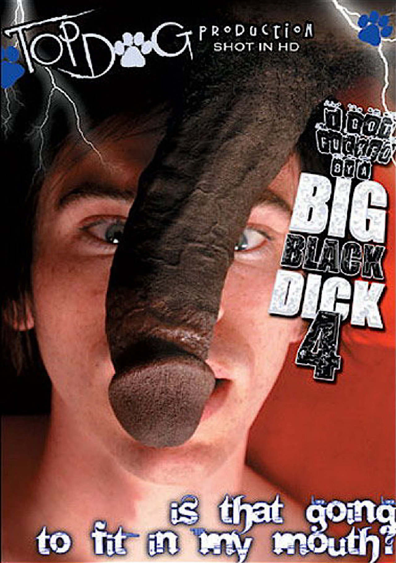 I Got Fucked by a Big Black Dick 4 filmaffisch