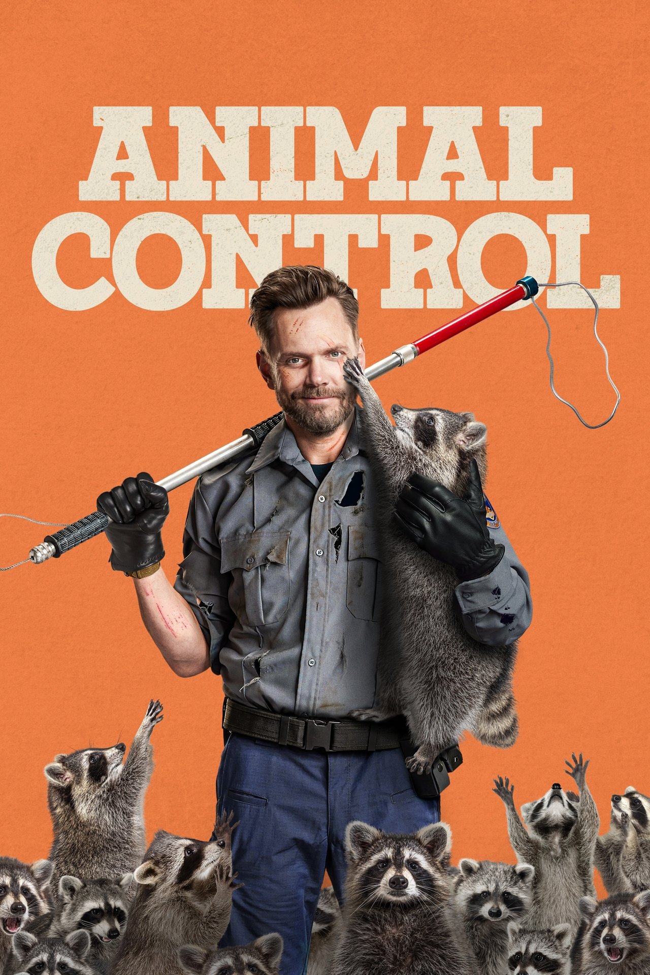 Image Animal Control