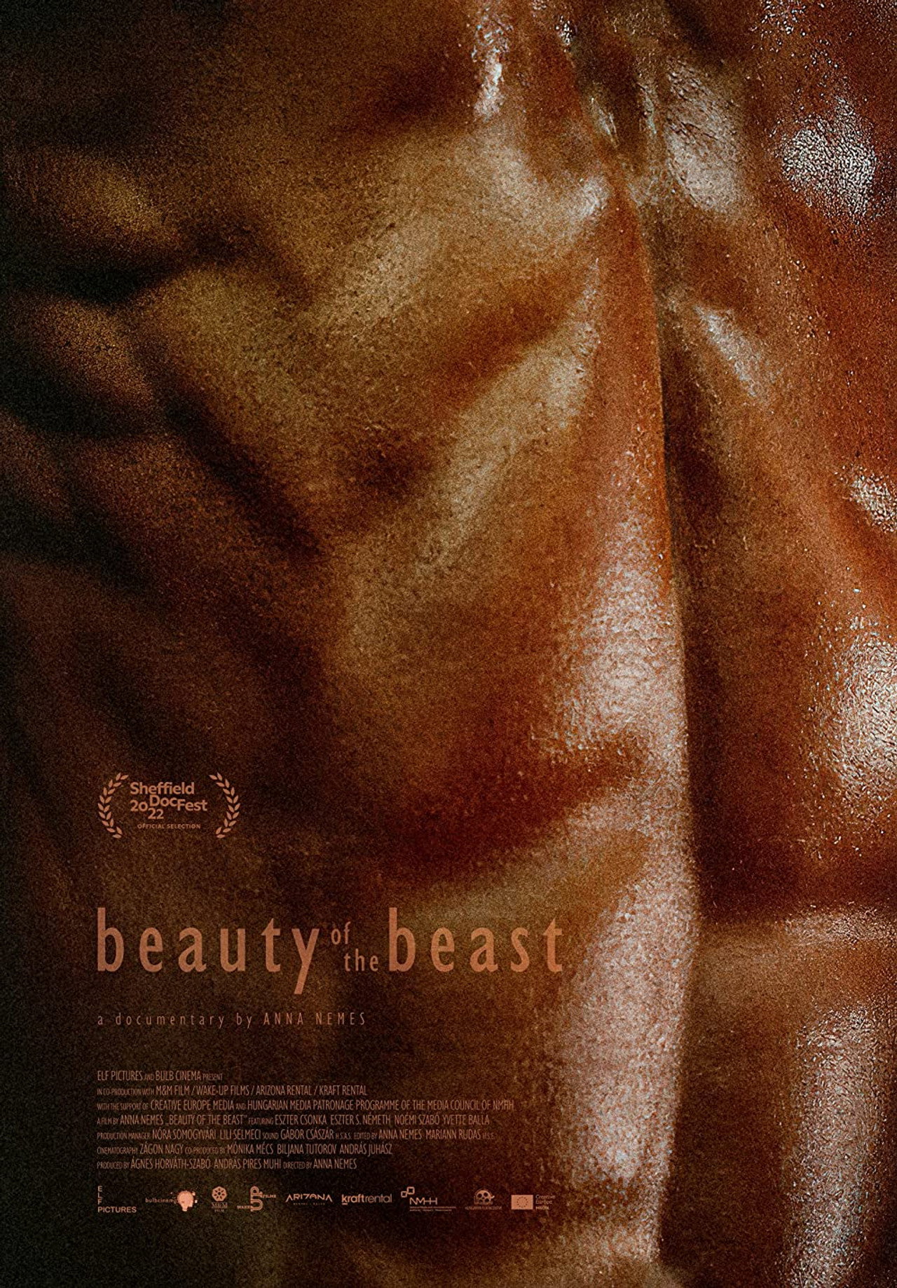 Beauty of the Beast Backdrop