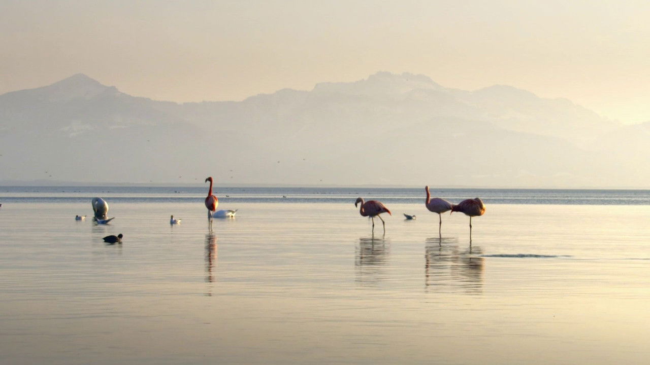 L'Allemagne sauvage — Le Chiemsee, la mer bavaroise