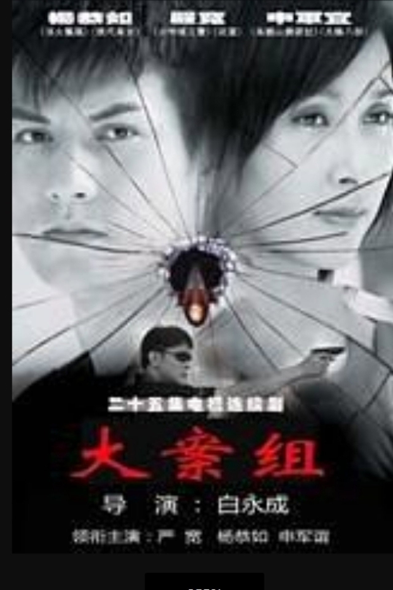 大案组