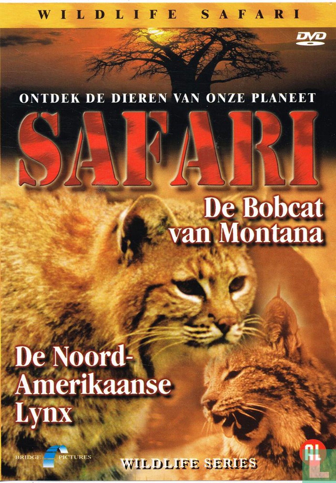 Safari: De Bobcat van Montana / De Noord-Amerikaanse Lynx Backdrop