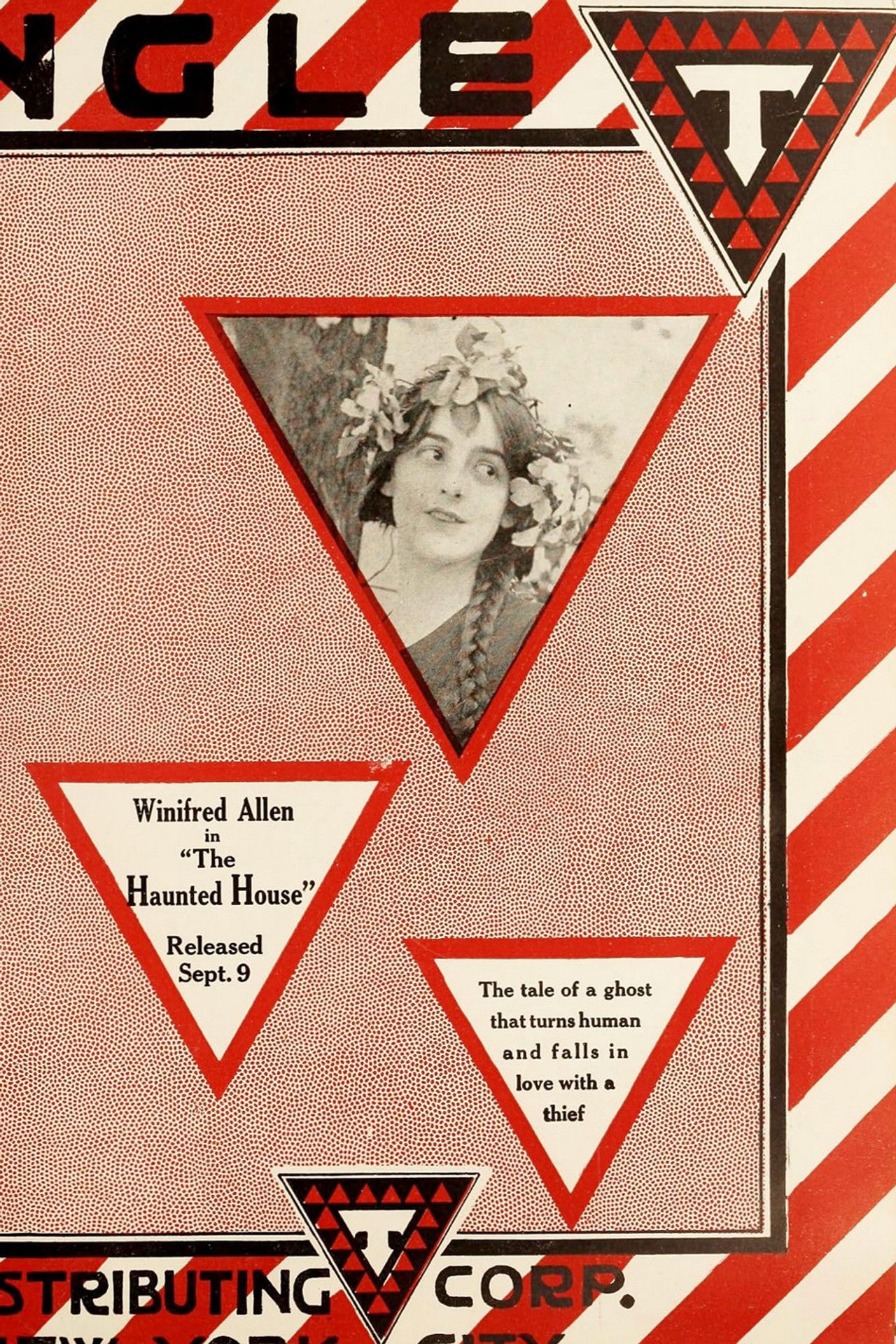 The Haunted House Backdrop