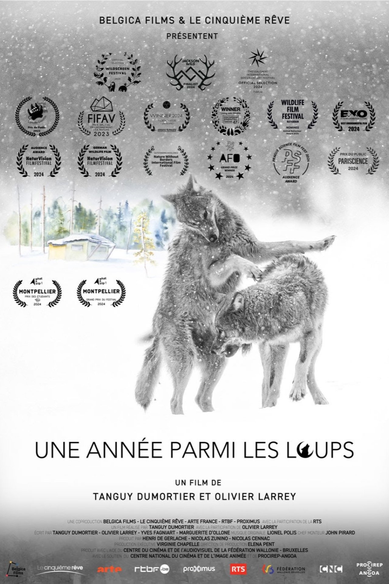 Une année parmi les loups poster
