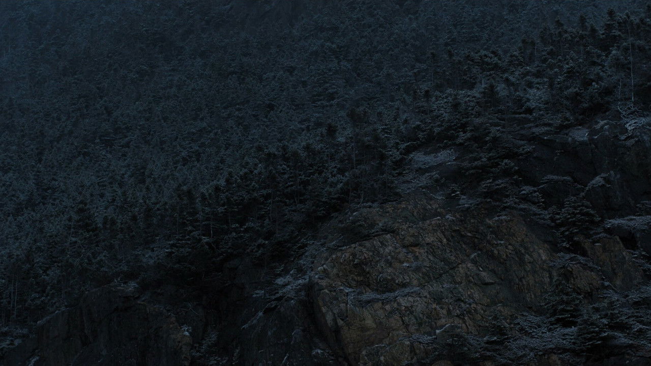 I Don't Want to Forget