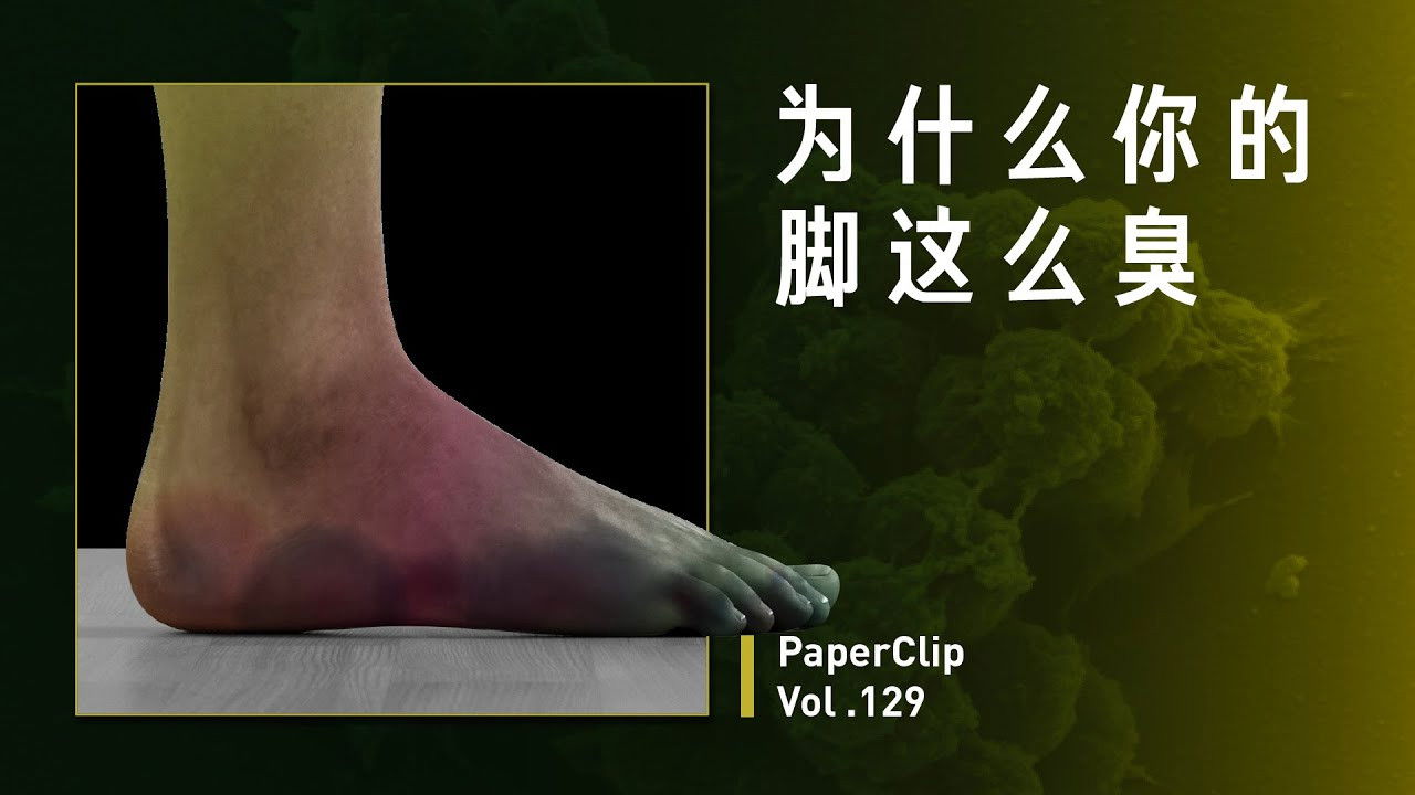 回形针PaperClip — Épisode 129