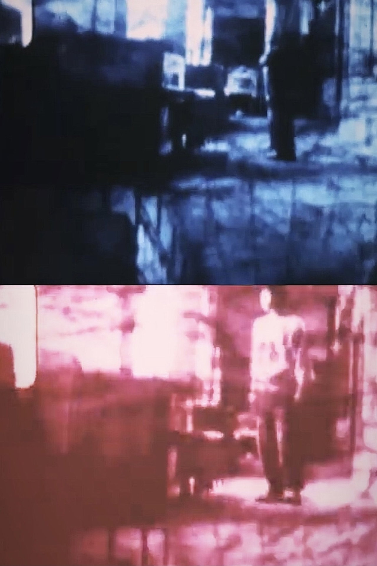 つたかずら filmaffisch