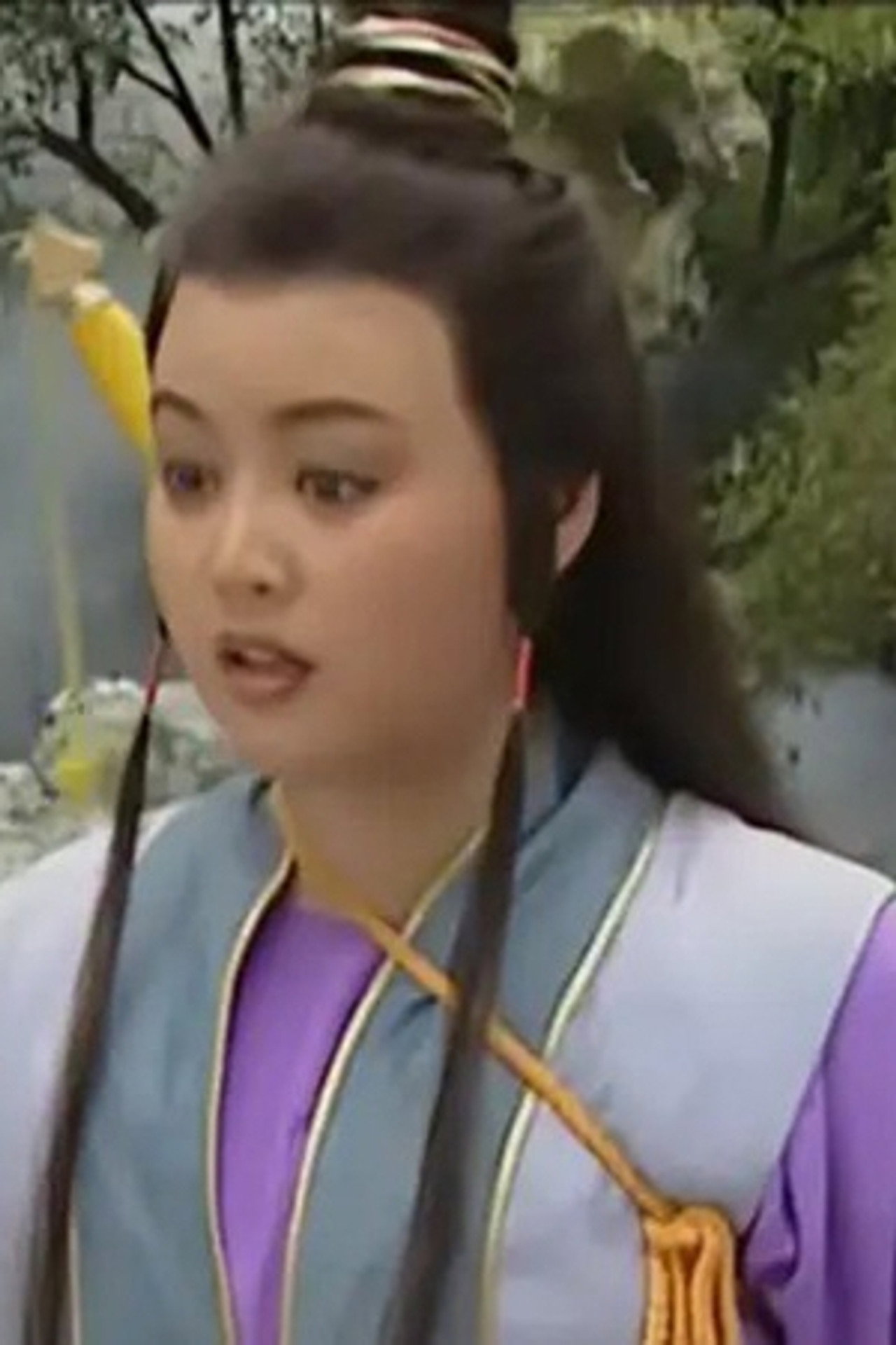 Zhang Fen