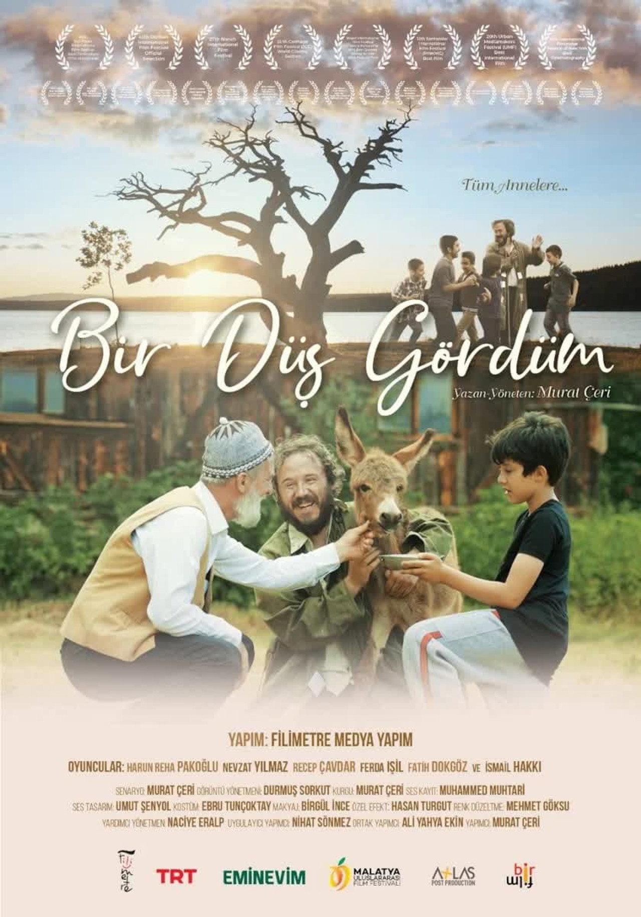 Bir Düş Gördüm filmaffisch