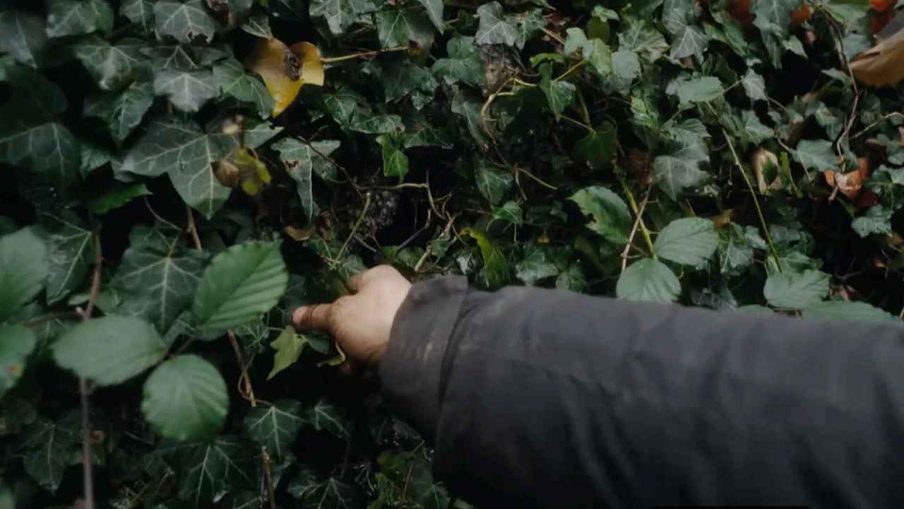 100 Tage Autark - Season 1 Episode 64 : Episode 64