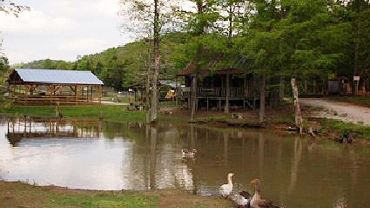 The Little Ponderosa Zoo background