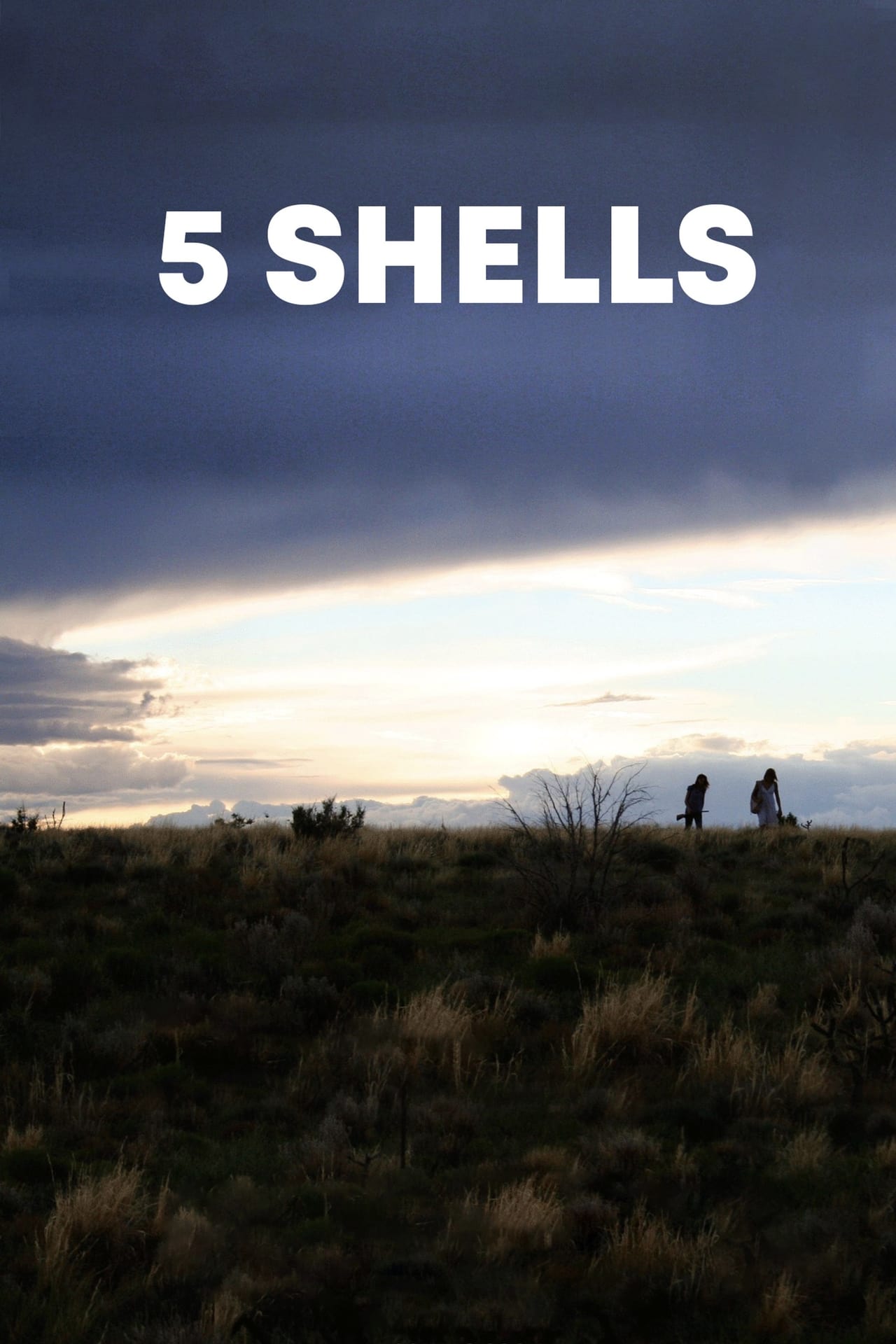 Banner 5 Shells