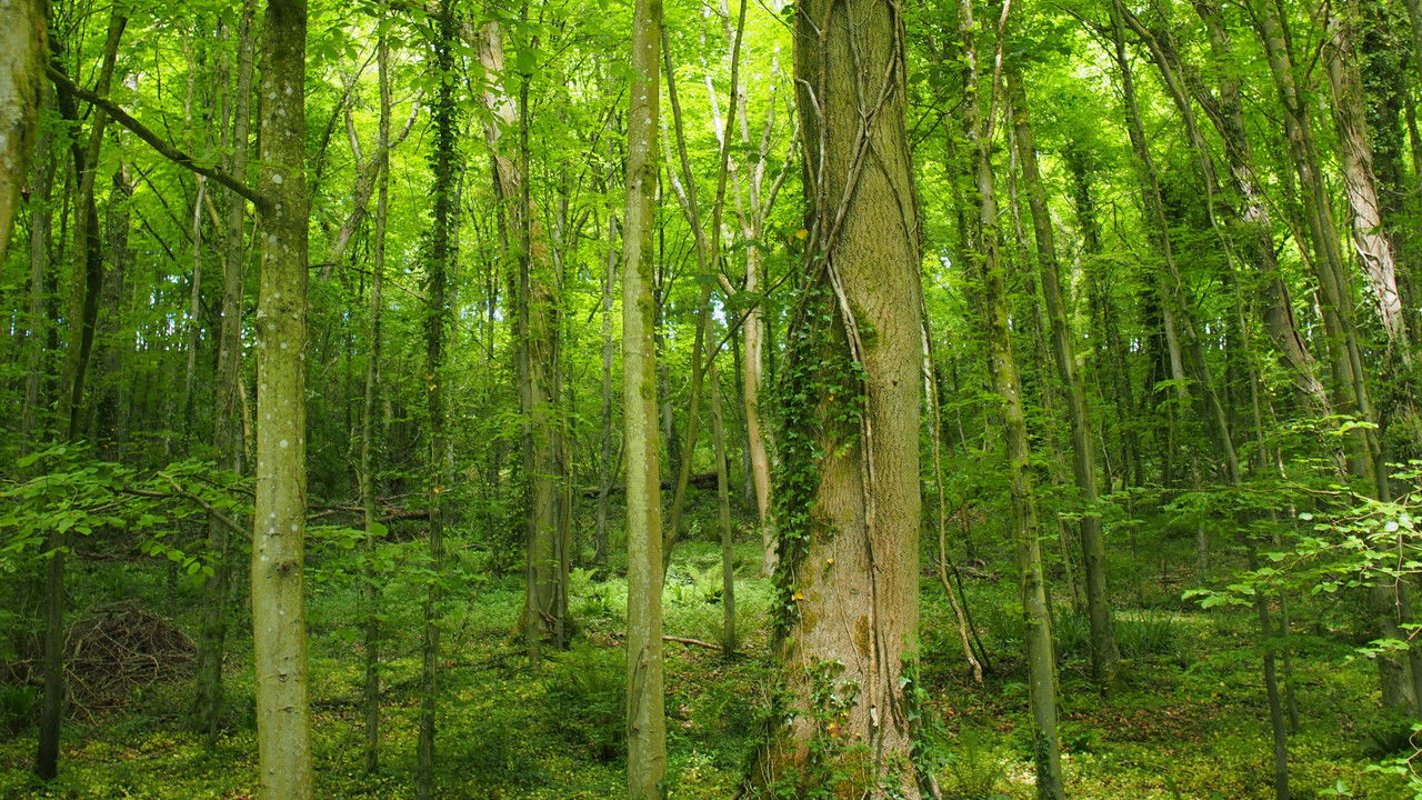 Britain's Deadliest Kids — Épisode 5