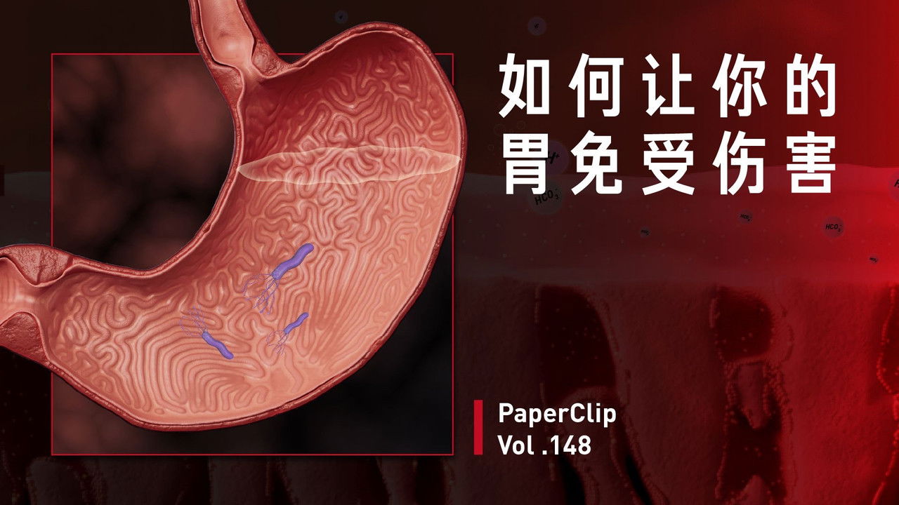 回形针PaperClip — Épisode 148