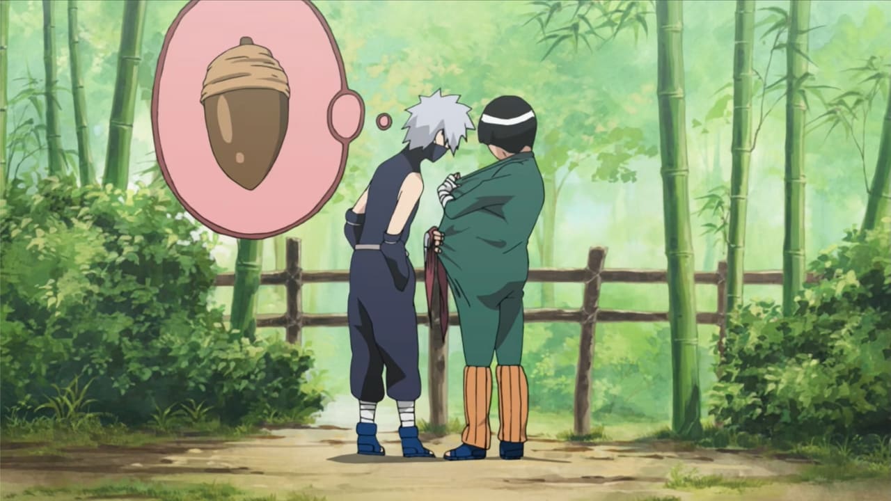 Naruto Shippūden - Season 11 Episode 241 : Kakashi, My Eternal Rival!