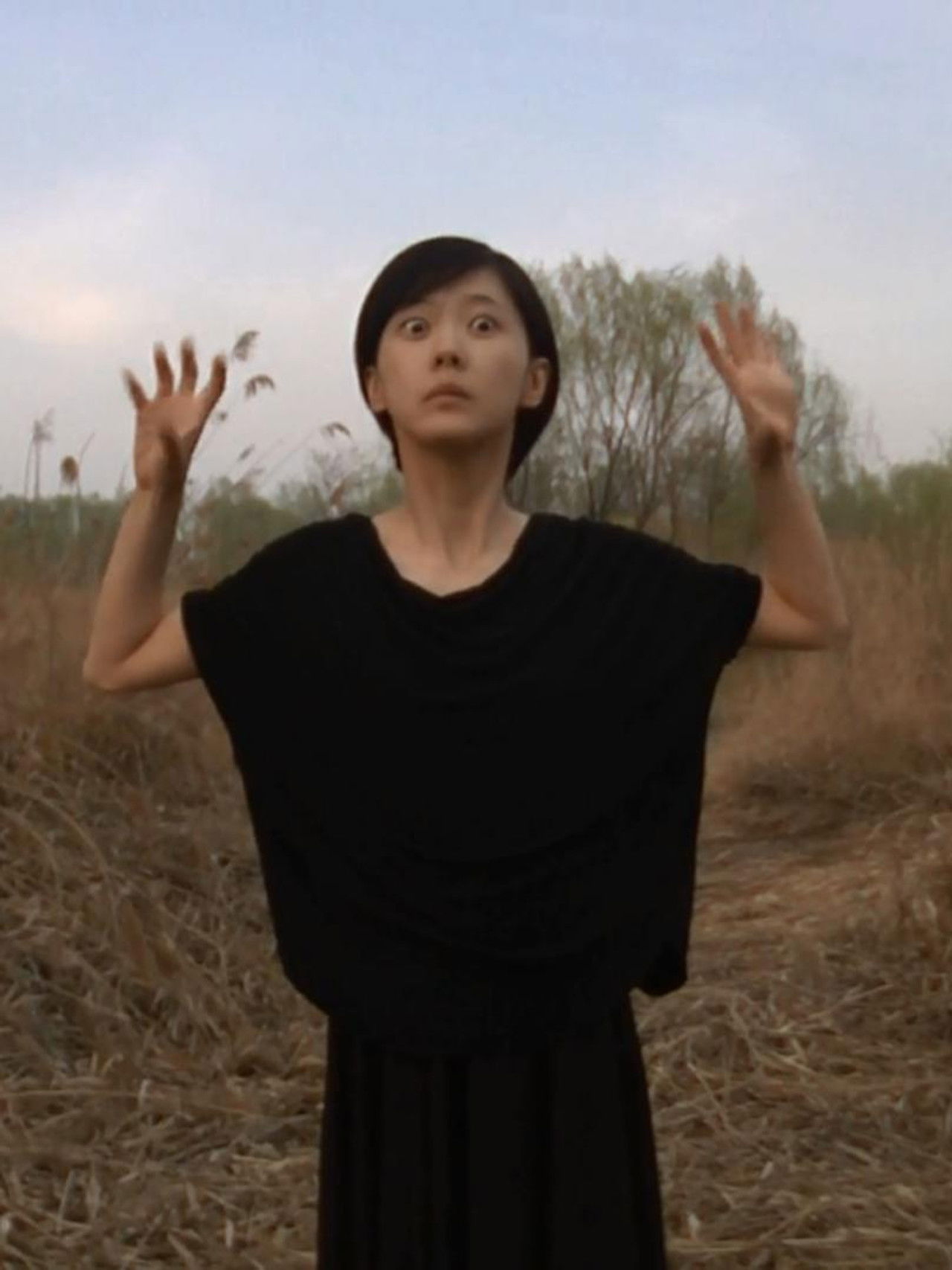 Animal Park Backdrop