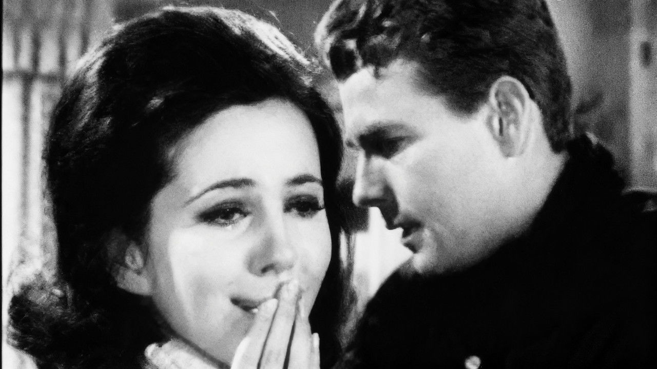 Peyton Place — Épisode 66