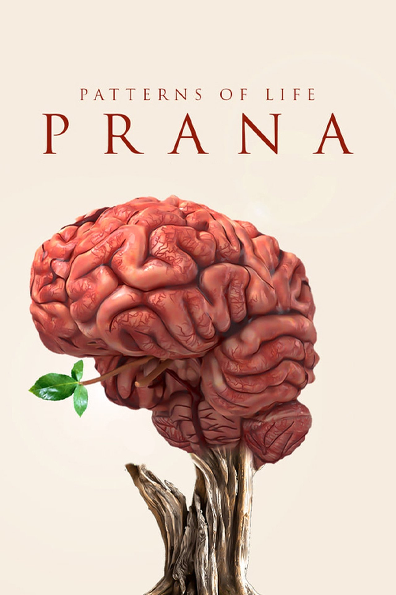 Patterns of life: Prana Patterns of life: Prana