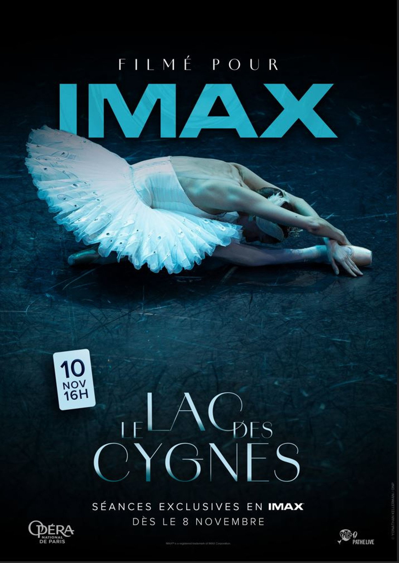 Le Lac des cygnes - Filmé pour IMAX filmaffisch