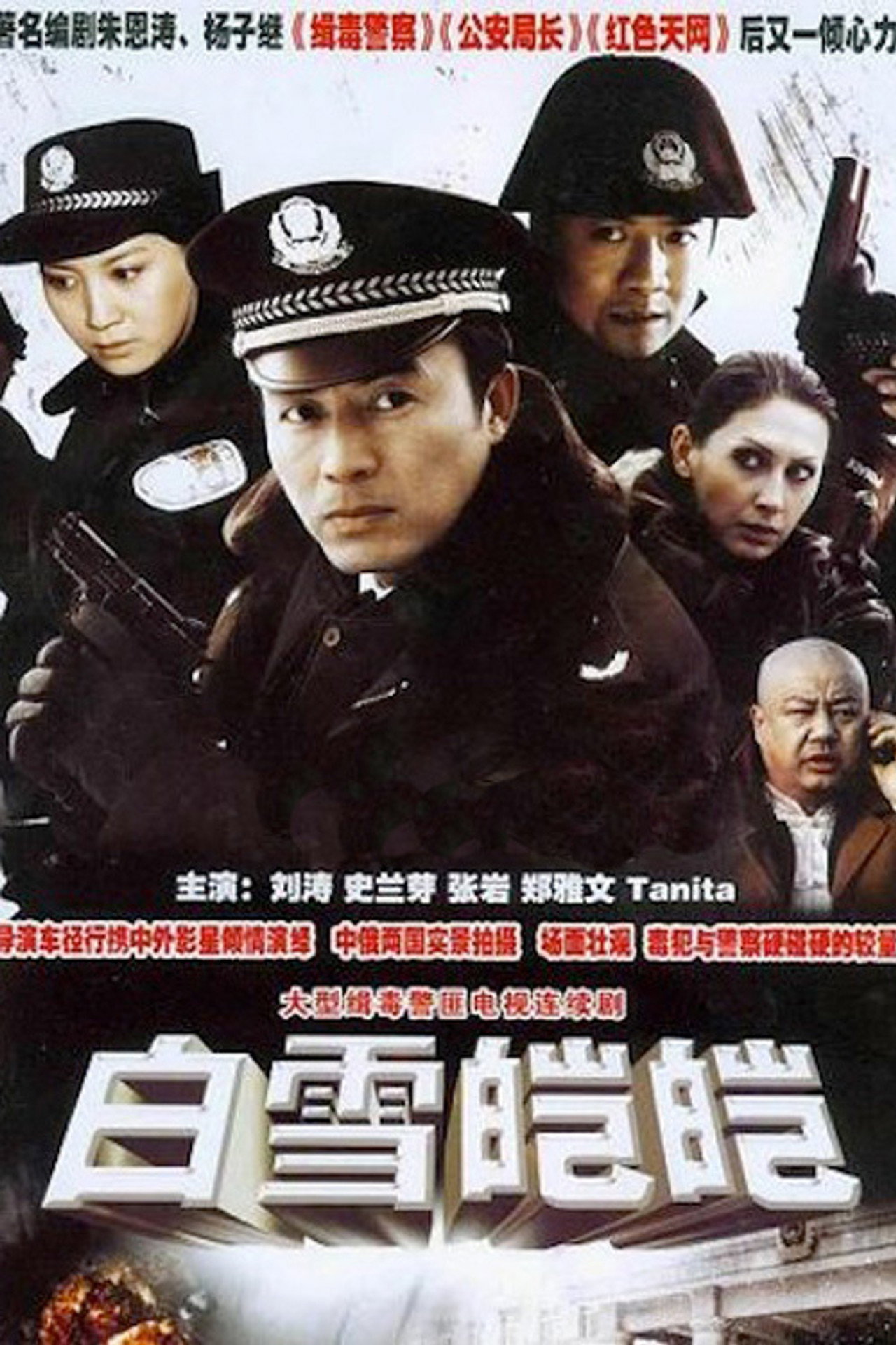 白雪皑皑 affisch