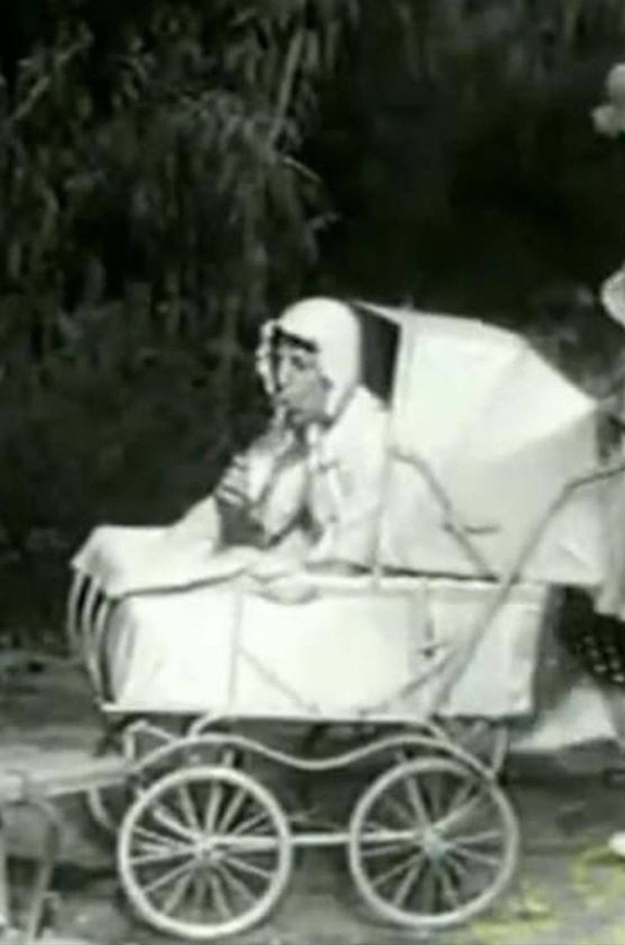 The Two Foxes Backdrop