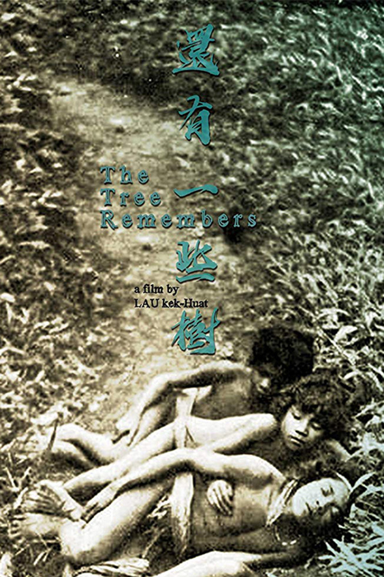 還有一些樹 filmaffisch