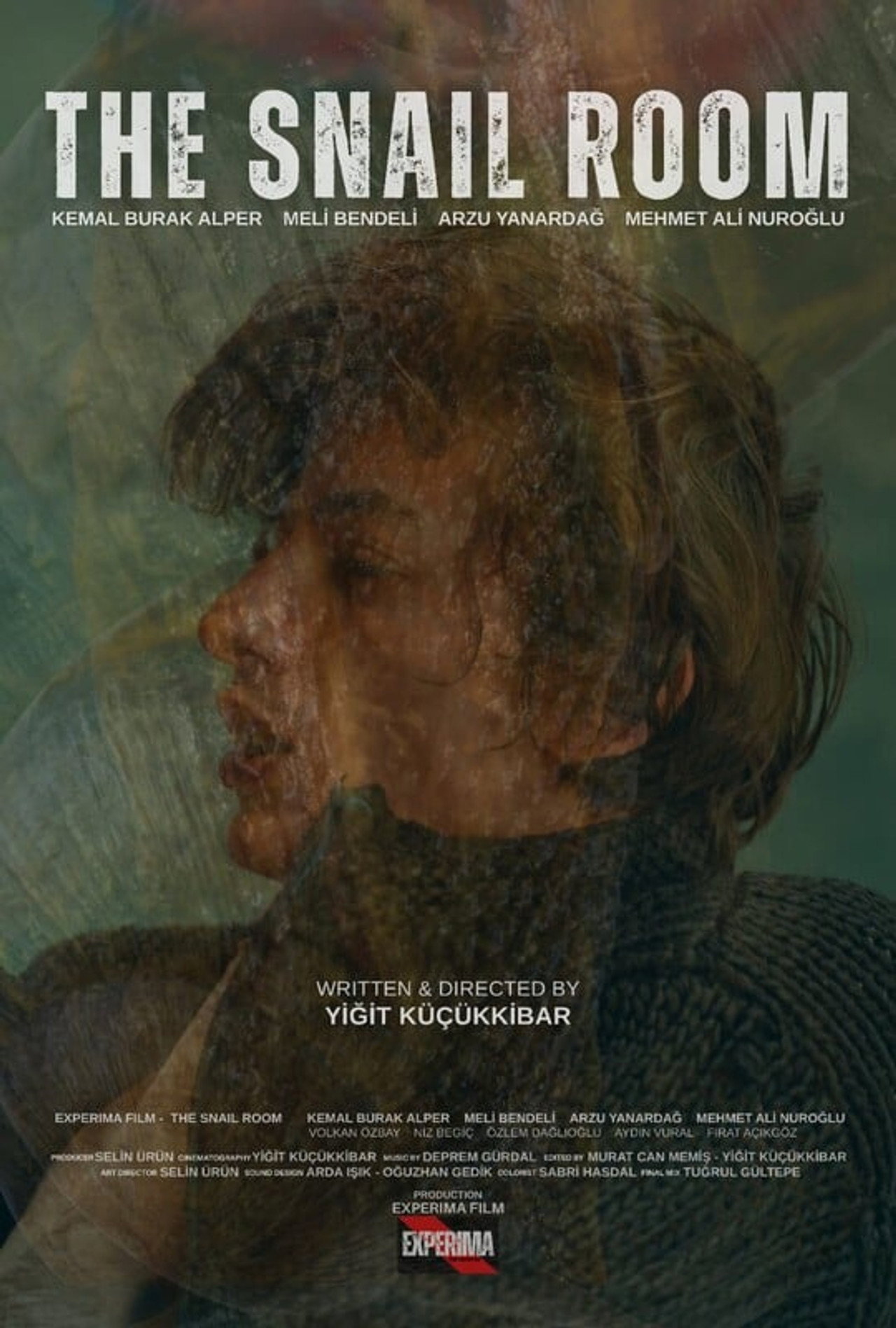 Salyangoz Odasi filmaffisch