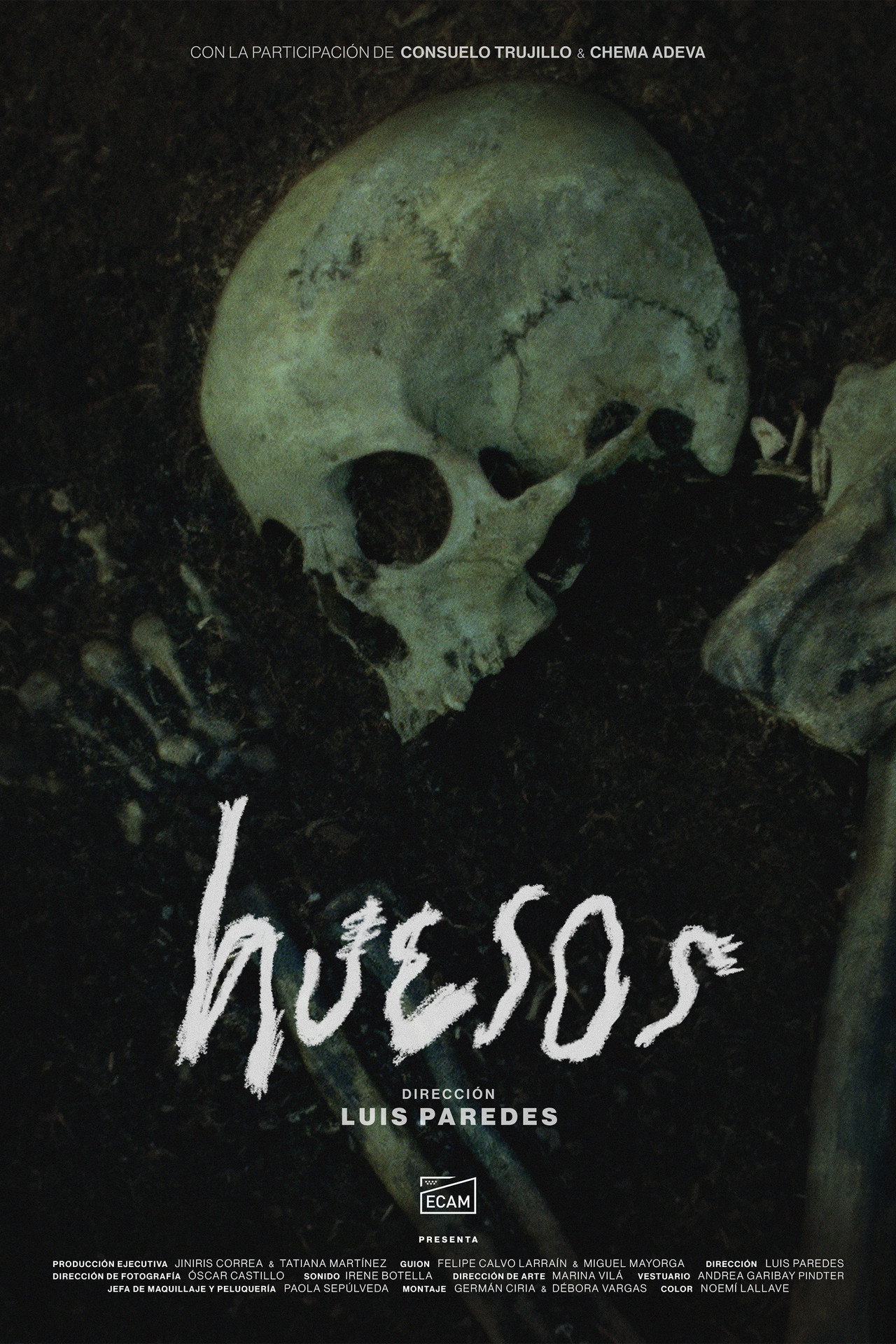 Bones