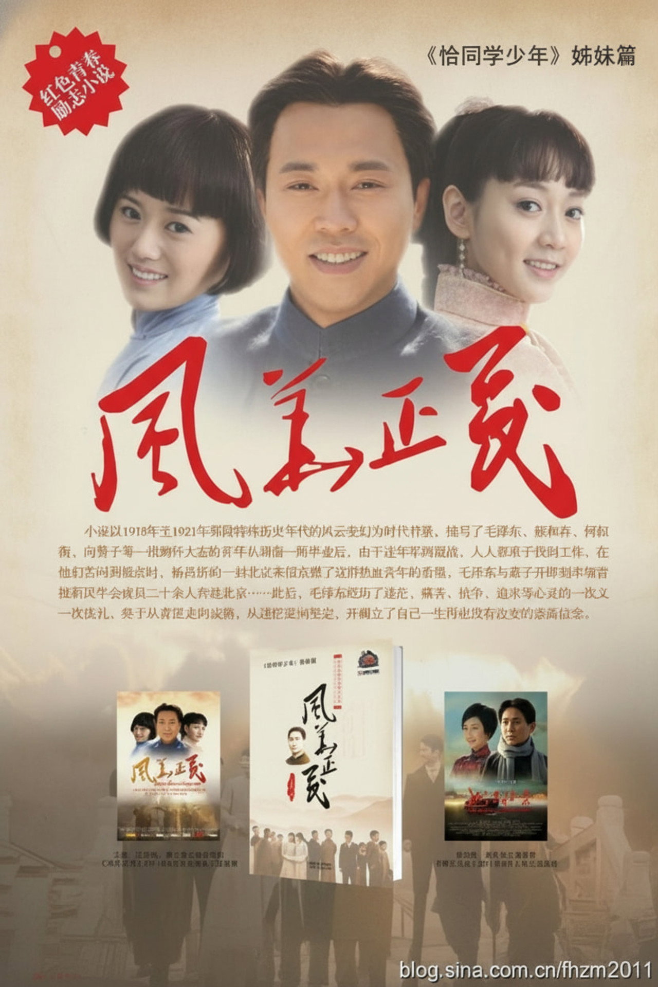 风华正茂 affisch