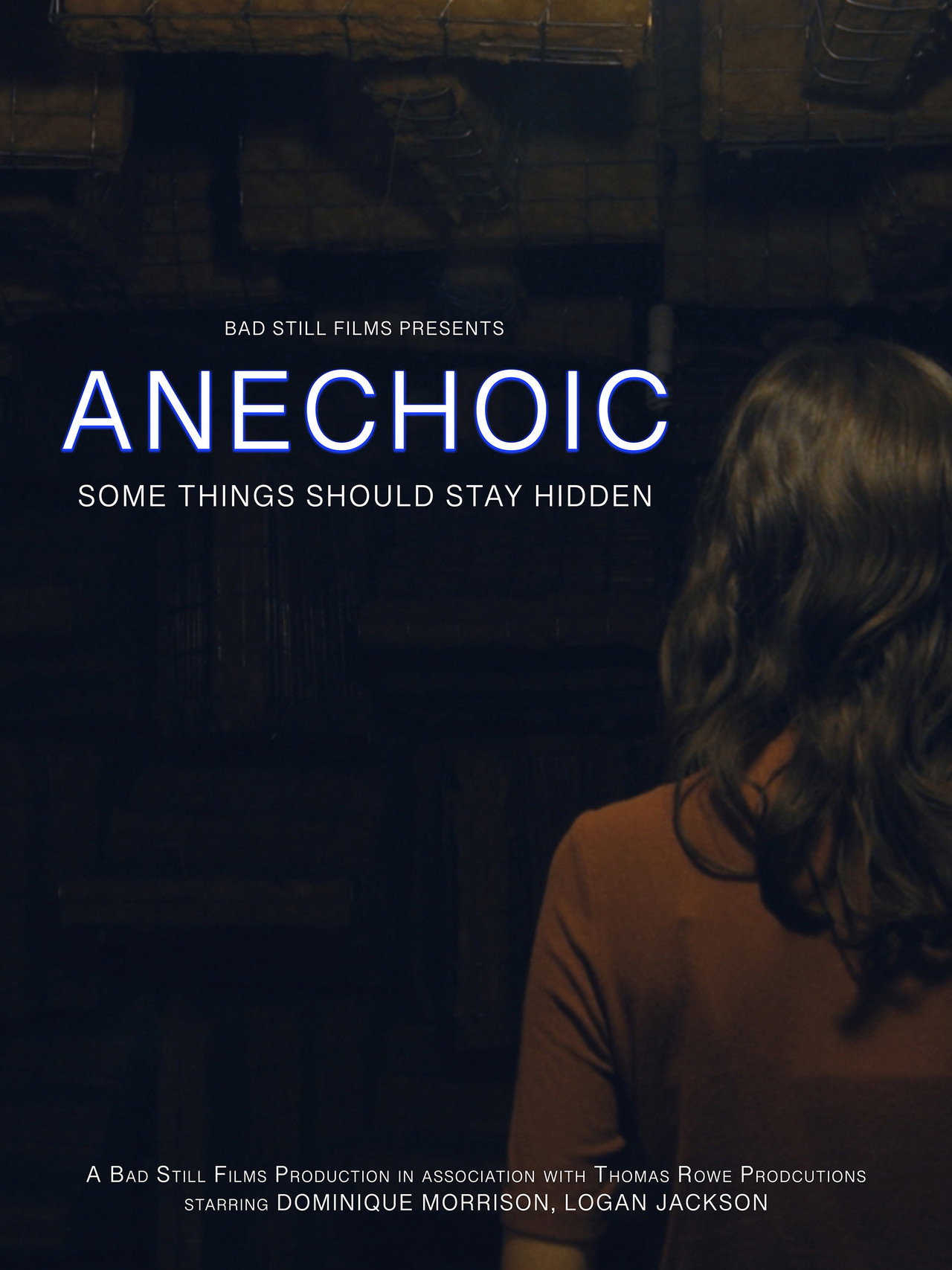 Anechoic filmaffisch
