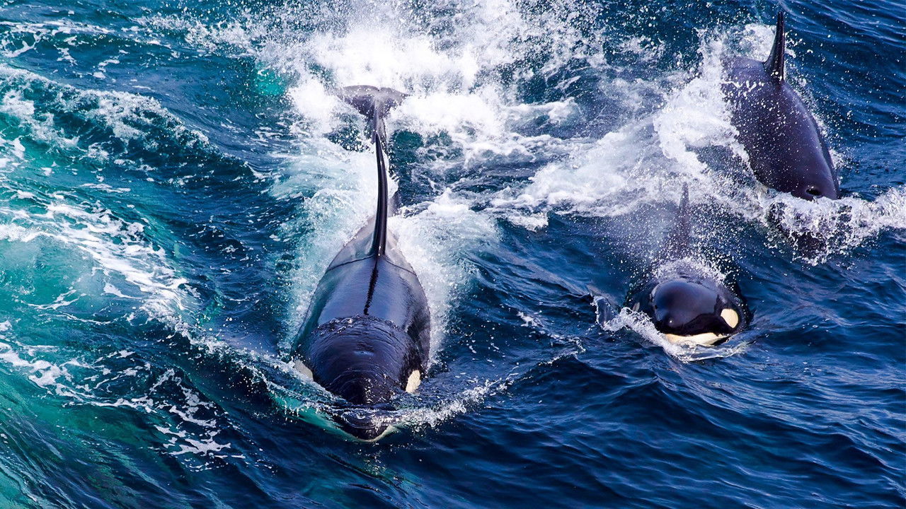 Stormborn — Épisode 2