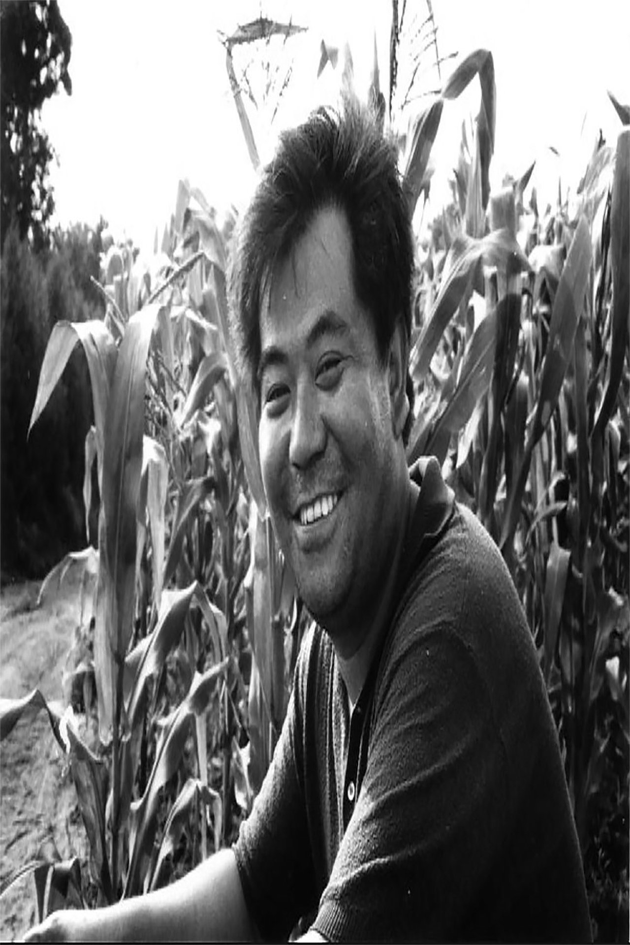満山紅柿 満山紅柿