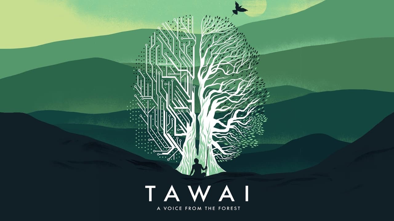 Tawai: A Voice from the Forest background