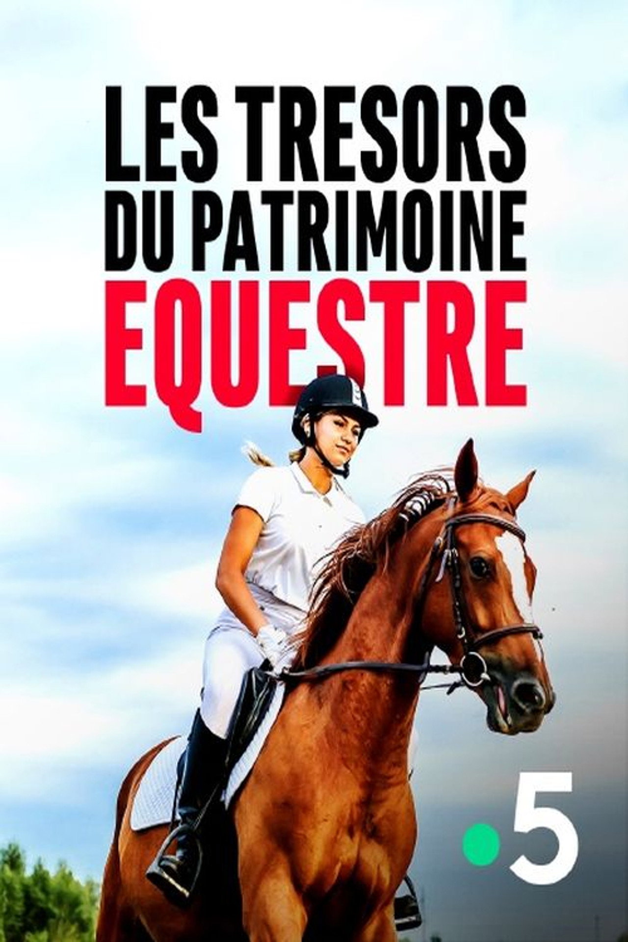 Les trésors du patrimoine équestre: L'héritage des grands écuyers filmaffisch