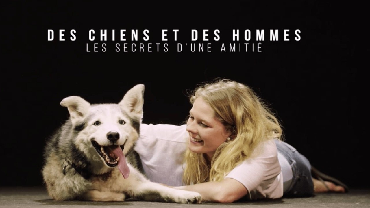 Hund und Mensch: Das Geheimnis einer Freundschaft background