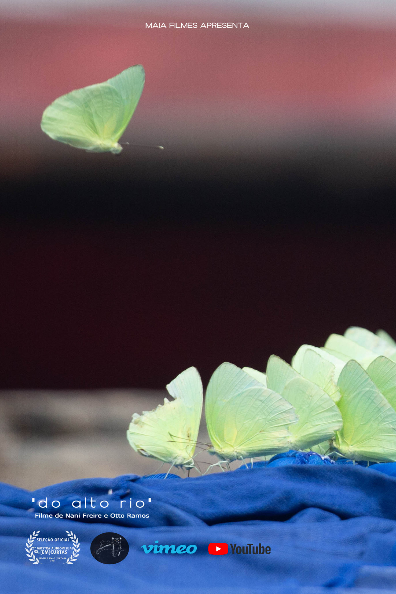 "do alto rio" Backdrop