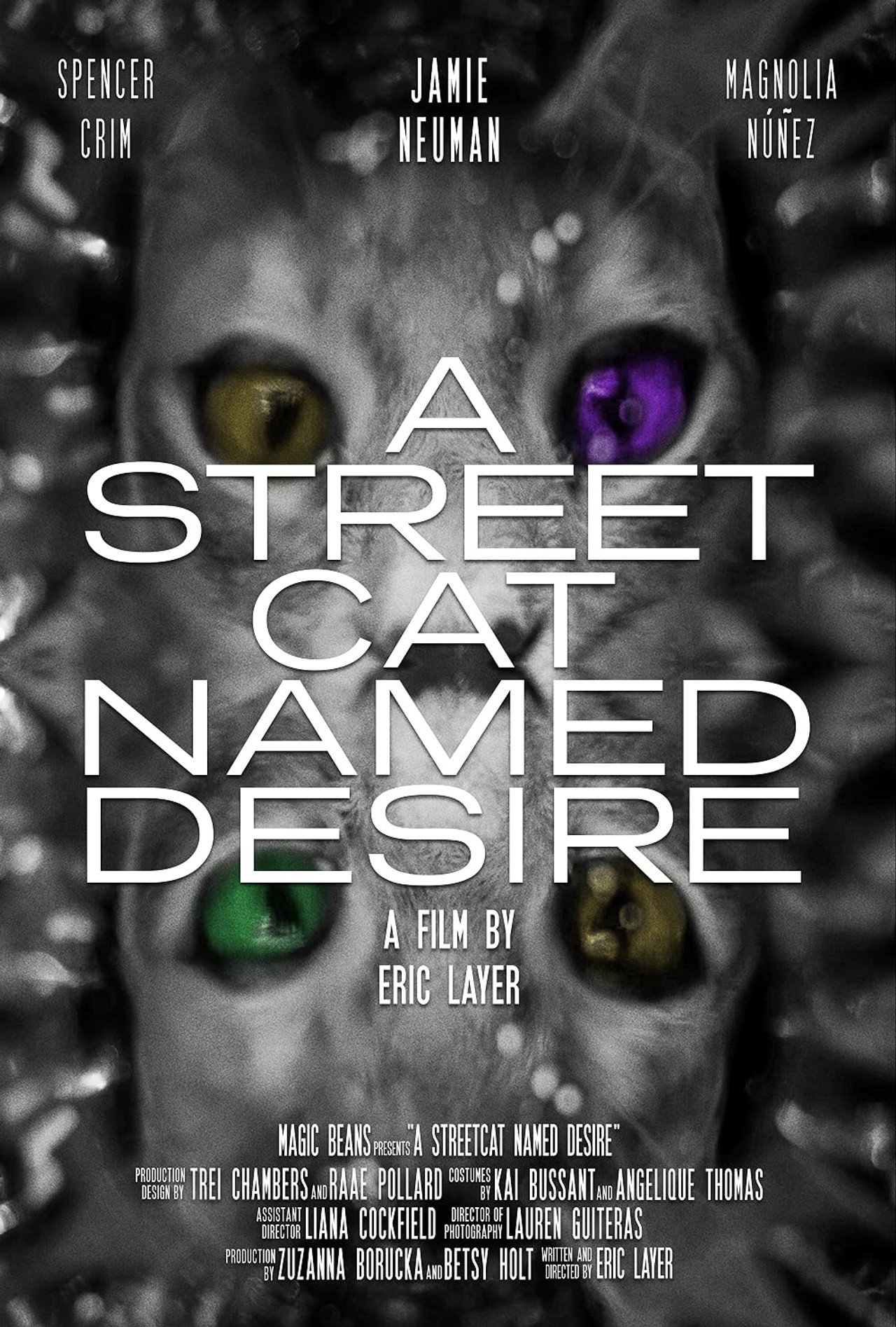 A street Cat Named Desire poster