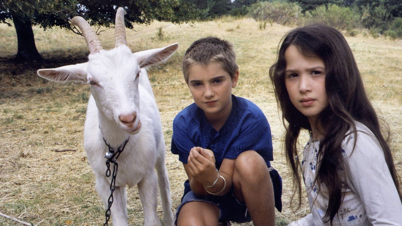 Children Who Love Each Other backdrop
