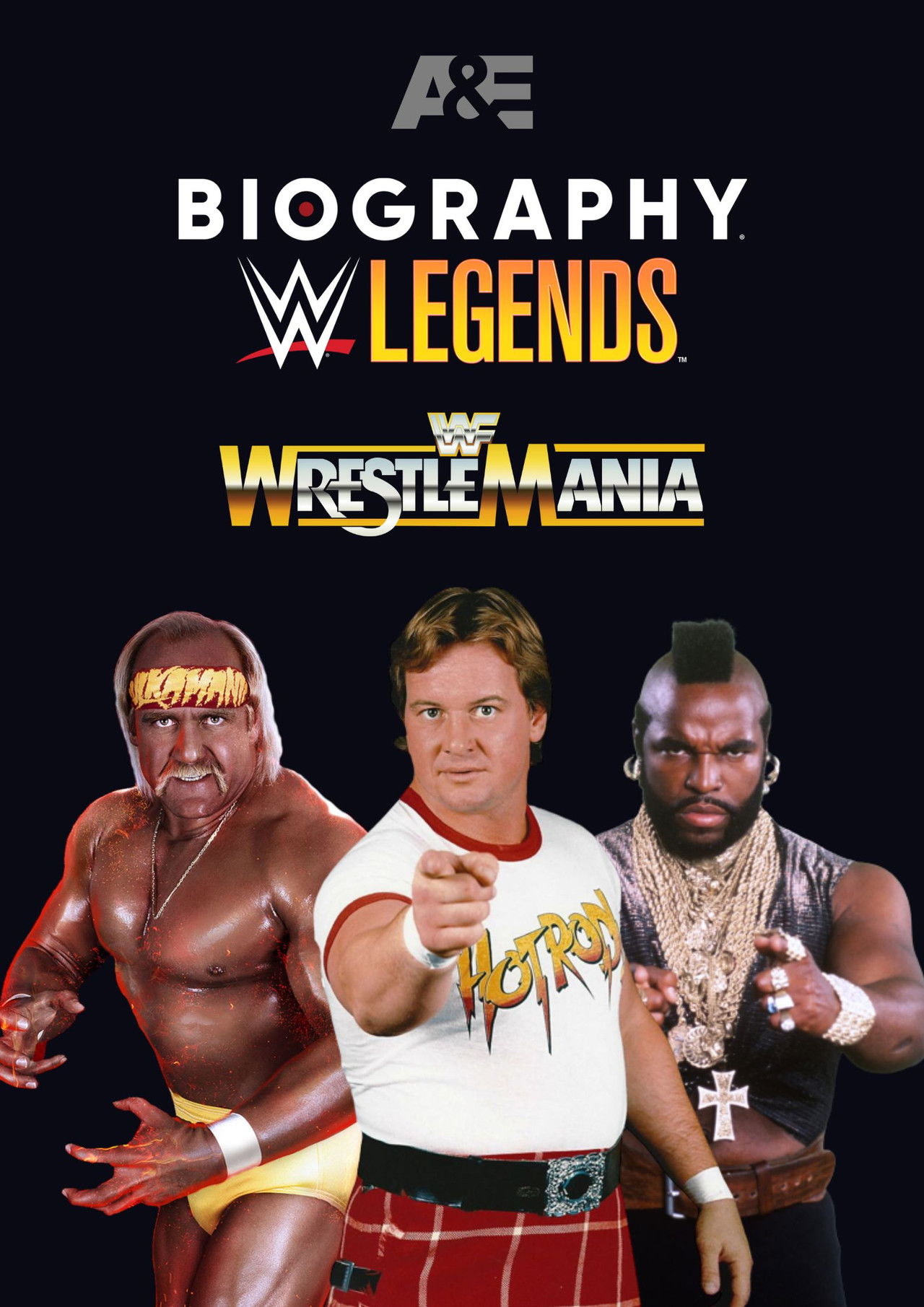 Biography: Wrestlemania I Backdrop