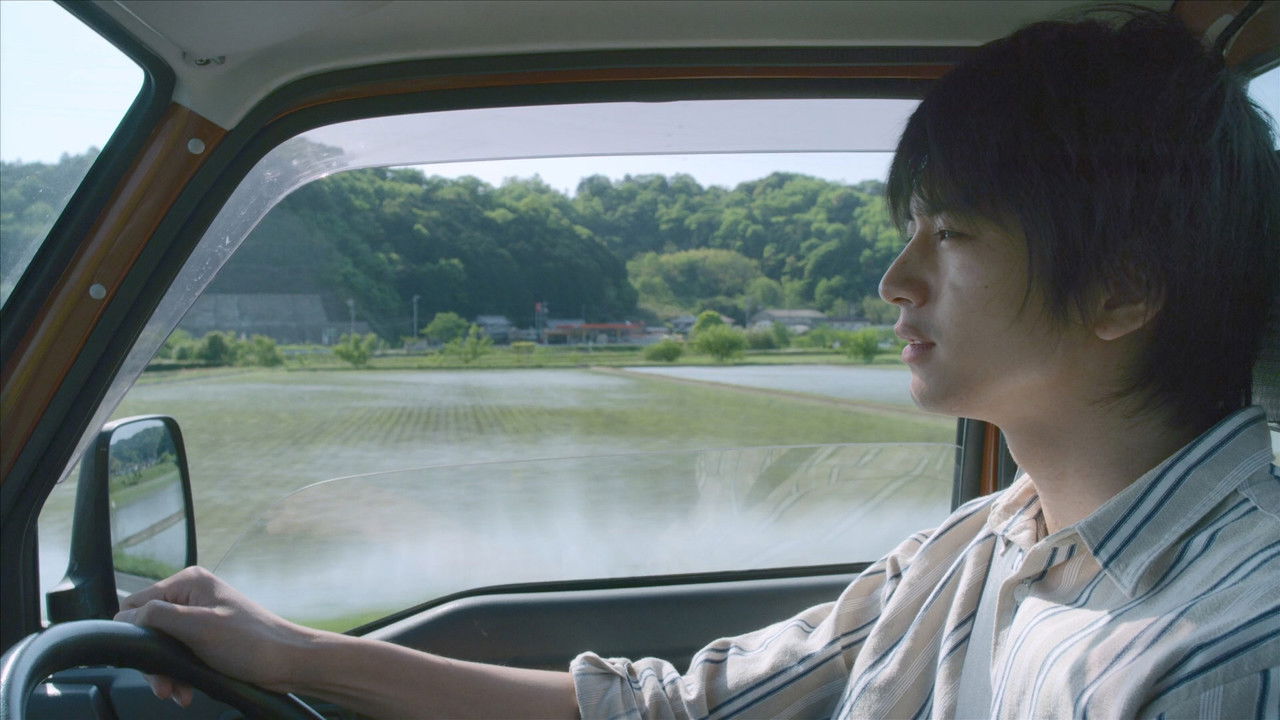 Yellow Elephant backdrop