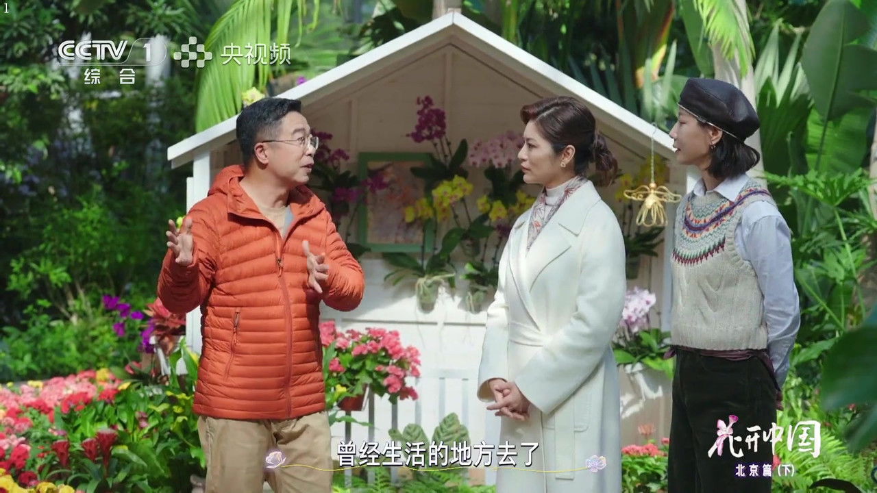 花开中国 — Épisode 6