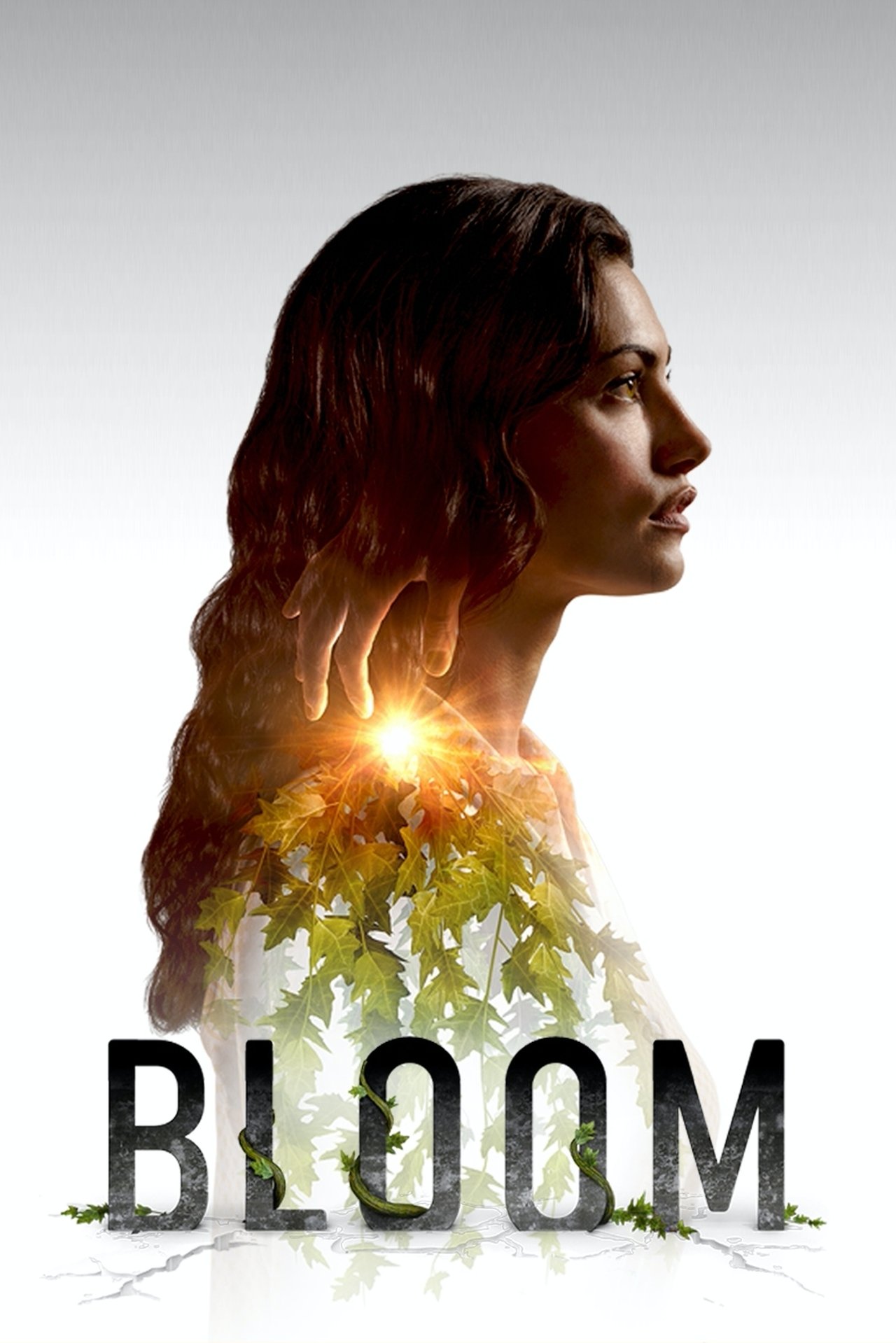 Image Bloom