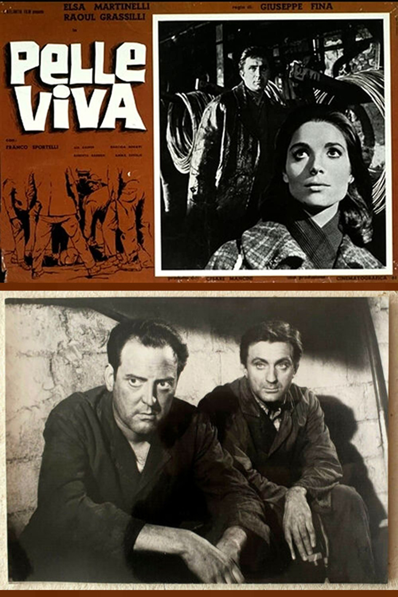 Scorched Skin Backdrop